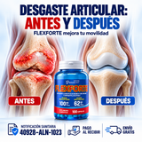 Flexforte 1
