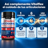 Vitalflex Glucosamina 700 g 3