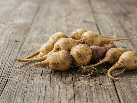 Maca
