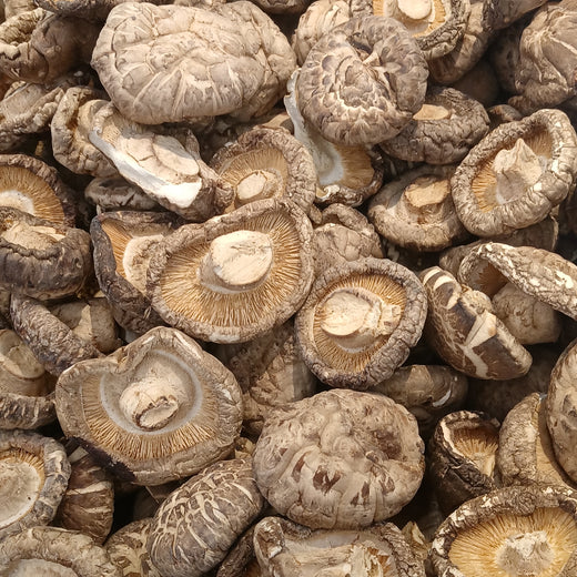 Hongo shiitake y beta-glucanos